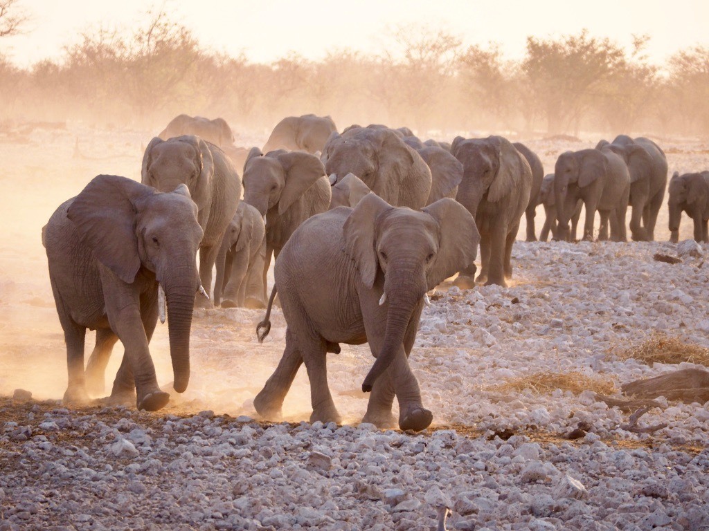 most beautiful spots for photography in Namibia