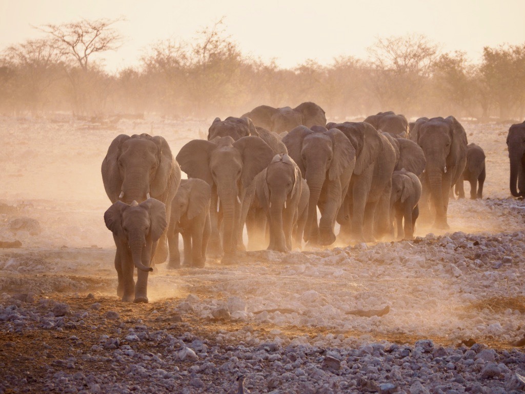 most beautiful spots for photography in Namibia