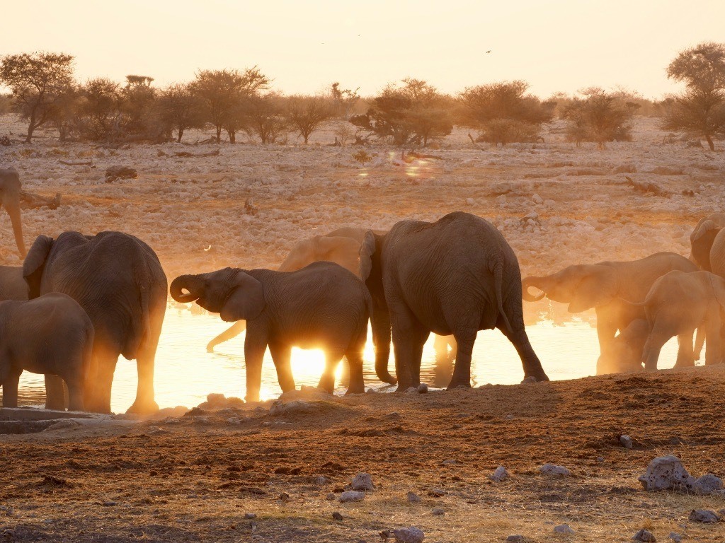 most beautiful spots for photography in Namibia