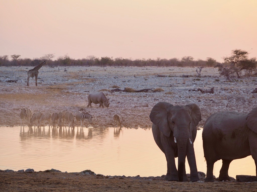 most beautiful spots for photography in Namibia