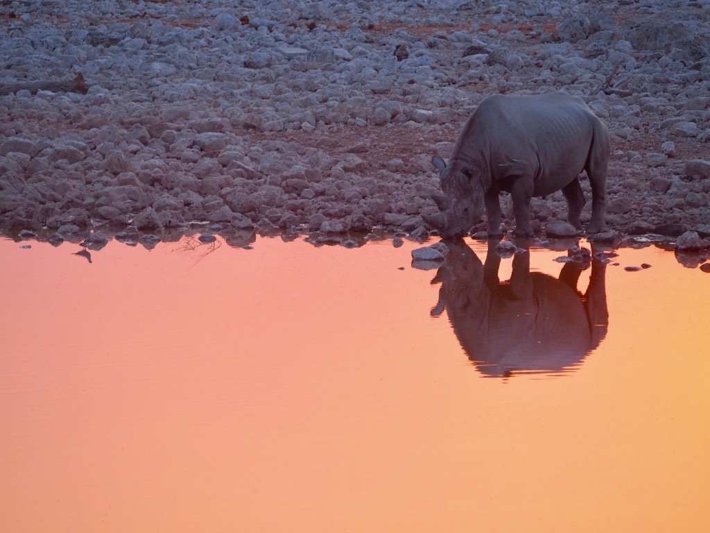 most beautiful spots for photography in Namibia