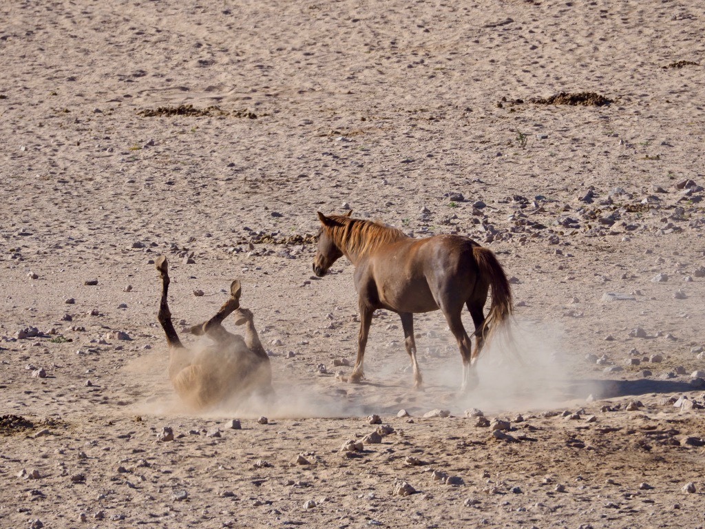 most beautiful spots for photography in Namibia