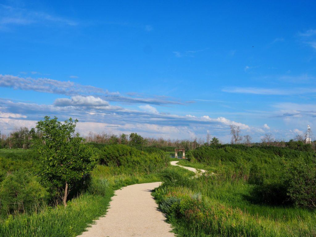 Brandon manitoba riverbank