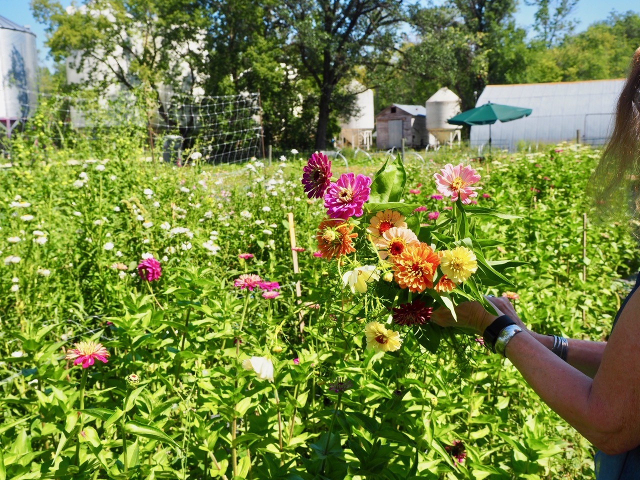 Miss Millie's Flower Farm Manitoba