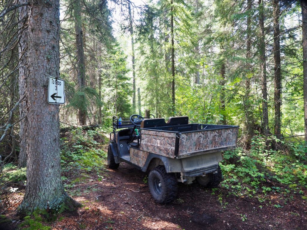 Duck Mountain Forest Centre quad