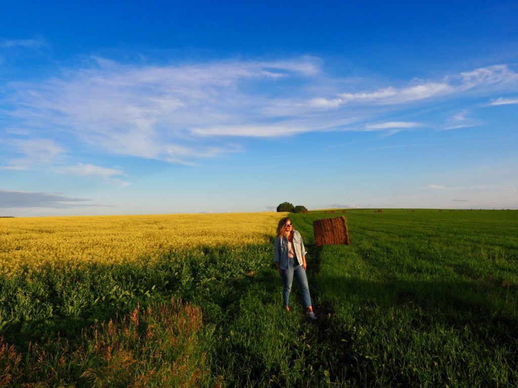 Swan Valley canola fields