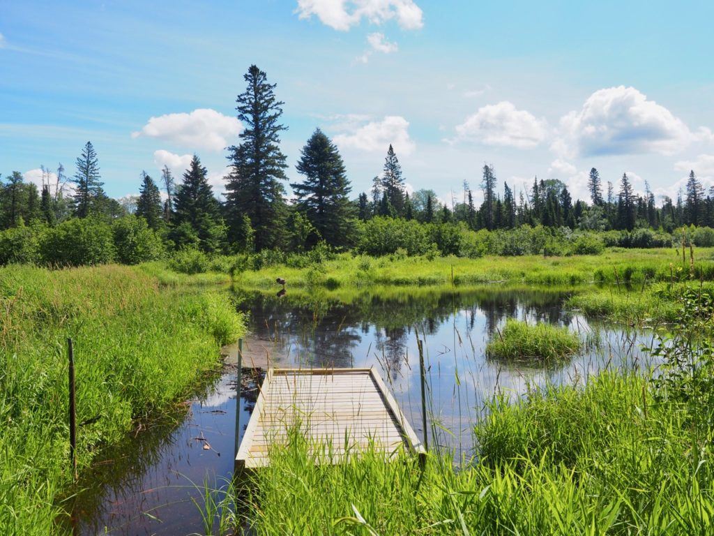 Duck Mountain Forest Centre trails