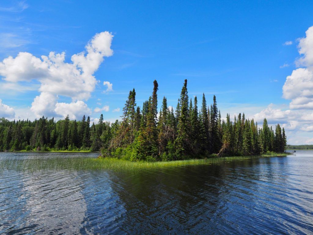 Wellman Lake Manitoba