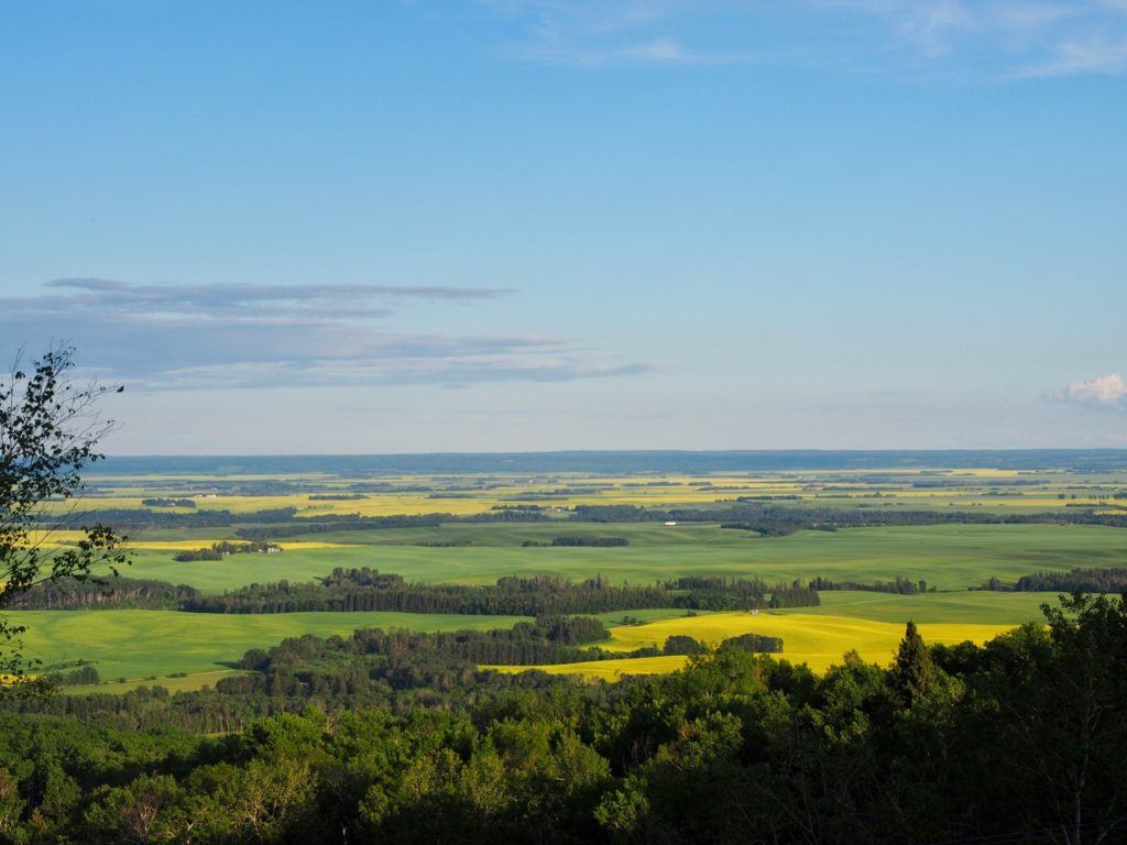 things to do in Swan Valley Manitoba