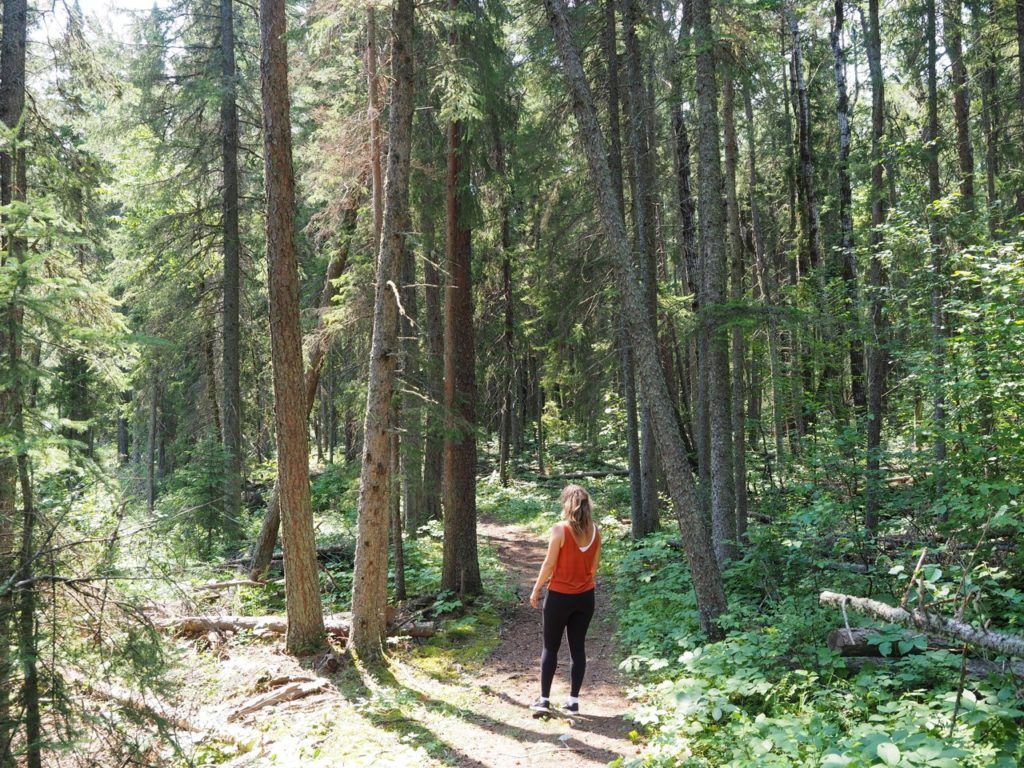 Blue Lakes Trail Manitoba