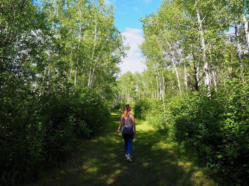 Rex Leach Museum Trail Manitoba