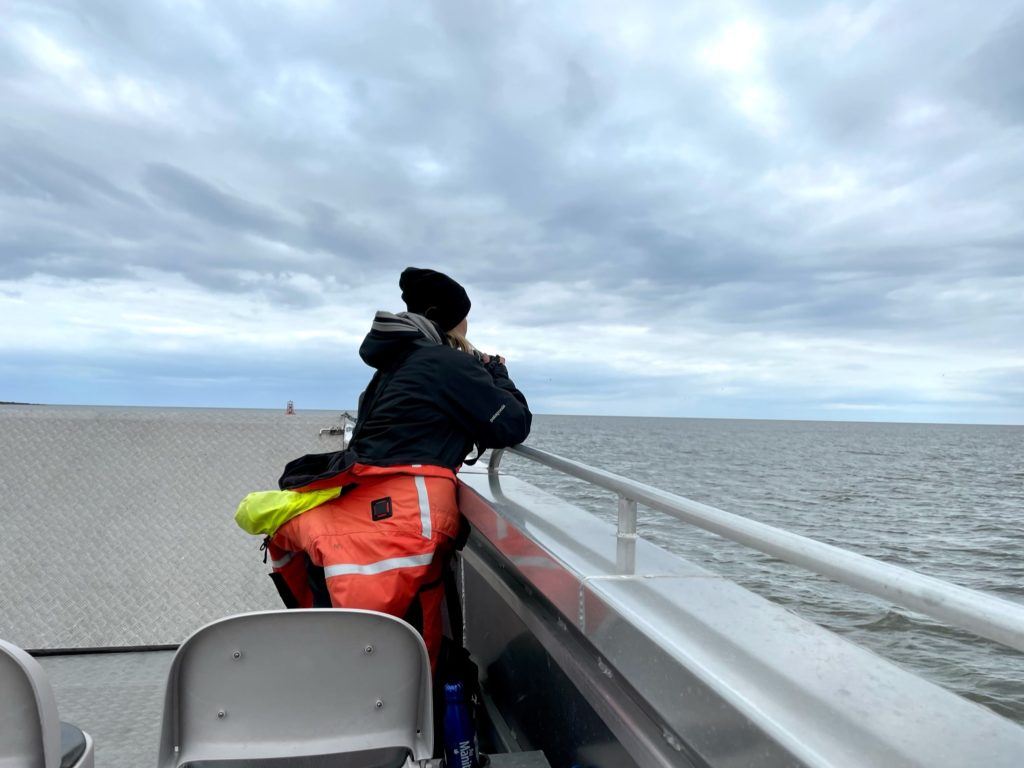 Looking out for belugas in Churchill