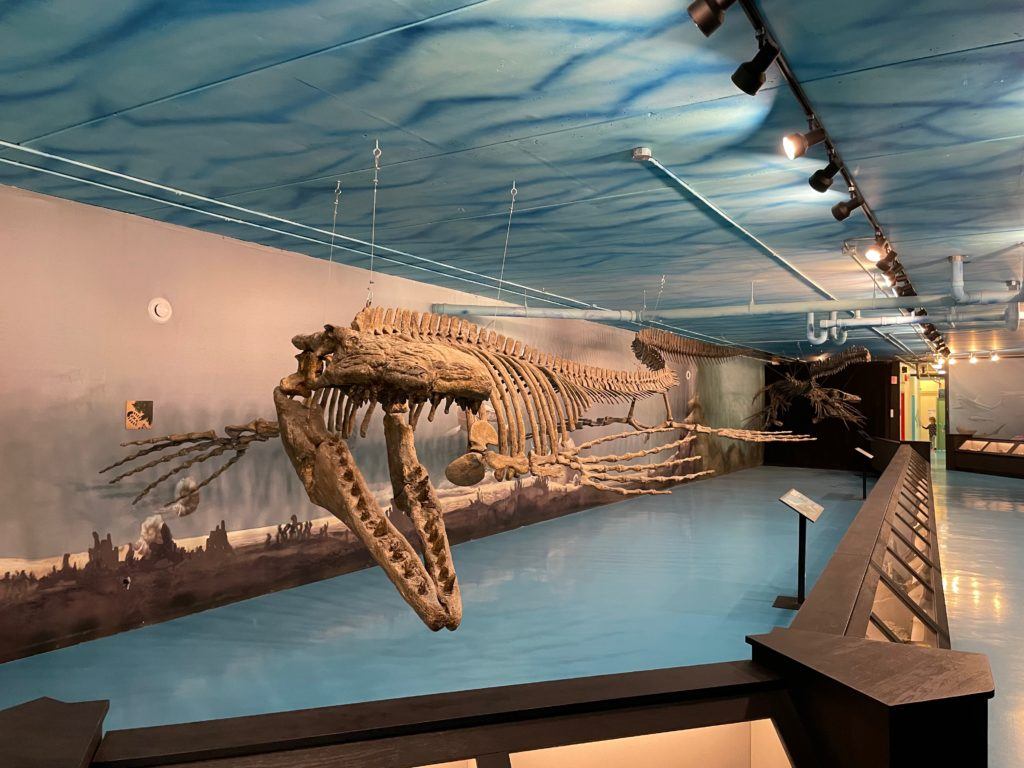 Canadian Fossil Discovery Centre - things to do in Morden Winkler